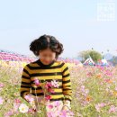 꽃뜨개방