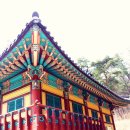 흥국사길 이미지