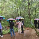 제주영송학교 이미지