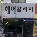 헤어칼리지 | 수택동 미용실 헤어칼리지 가격 후기