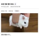 매일크리스마스 이미지