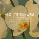 (율정) 플라워 컬러테라피 명상 | [공지] 관음심안 🦢🧿 오어사 빛의 초 신청 — 3일 · 7일 꺼지지 않는 불꽃의 심해