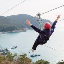집에 있겠다고? 이렇게 재밌는데! :: 태종대 오션플라잉 테마파크, 경주루지월드, 청도 레일바이크 이미지