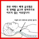 천연라텍스 베개 - 목이 편한 말랑말랑 베개 어디 없을까요? 이미지