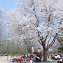 봄봄봄 서울숲 이미지