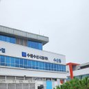 농수산물도매시장 | 영일수산 수원 농수산물 도매시장점 방문 후기