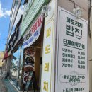 파도리치