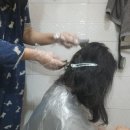 THESUJATA 천연헤나염색약 사용후기 손상모복구까지 되는 유기농 헤나 염색
