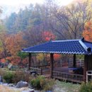 평창자연속쉼표 이미지