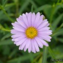 우신세탁소 이미지