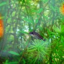 눈플러스안경원 이미지