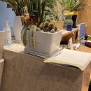 포인트게임장 이미지