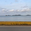 GS25 영흥비치점 이미지