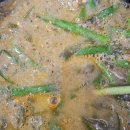 오리랑추어랑 이미지