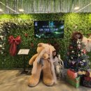 더온(The On) | ​영종도에서 만난 작은 실내 정원, [On the Flow: 온더플로우] 방문후기