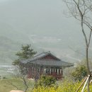 (주)자연들