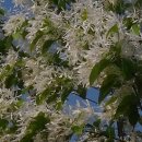 자라마을 이미지