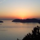 통영터널로가로수 이미지