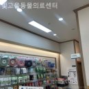 빛고을 동물의료센터 | 북구 동물병원 빛고을동물의료센터 찐후기