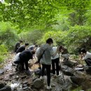 용인 산림교육센터 이미지