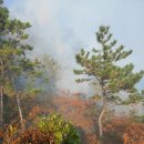 금일읍-2 이미지