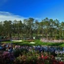 메이저골프클럽(주) 이미지