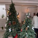 에이미케이크 | 하남미사 대형 카페) "에이미테이블" 트리 내돈내산 후기