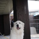 장순농장 이미지