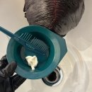 라프시스템 이미지