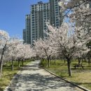 웅천초등학교 앞 이미지