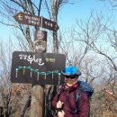 분당-305 | 청계산 국사봉, 이수봉