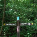 민둥산로 입구 이미지