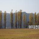 여강길(3-1코스 강천섬길) | 여주 여강길(3-1코스 강천섬길의 가을)