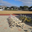 성읍초등학교 병설유치원 이미지