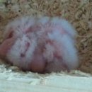 백설공주 이미지