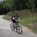 냉산공원 이미지