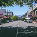 유원무도장 이미지