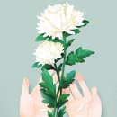 은평다목적체육관 이미지