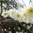 내서읍보건지소 이미지