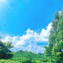 구리왕숙체육공원(실외1) | 테니스 테린이 구리왕숙체육공원 실외 테니스장 예약 및 방문 후기