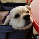 미니스톱 난지1점 이미지