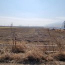 열대자보건진료소 이미지