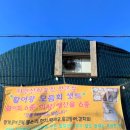 귀덕귀덕 | 제주한림횟집 활어왕 - 귀덕해안도로 활어 직판장 회 포장 후기