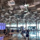 서나라농장 | SQ108 싱가포르항공 비즈니스 탑승기 | 싱가포르(SIN)에서 쿠알라룸푸르(KUL)까지 좌석, 기내식 후기