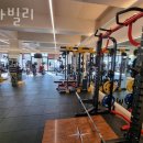 스타빌리 네이버블로그