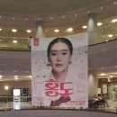 화류비련극 홍도 이미지