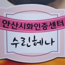수린천연헤나