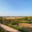 완충녹지10호 이미지