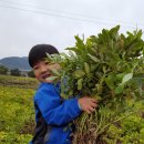 박달농원 이미지