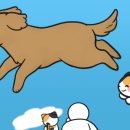 전북케어랜드 이미지